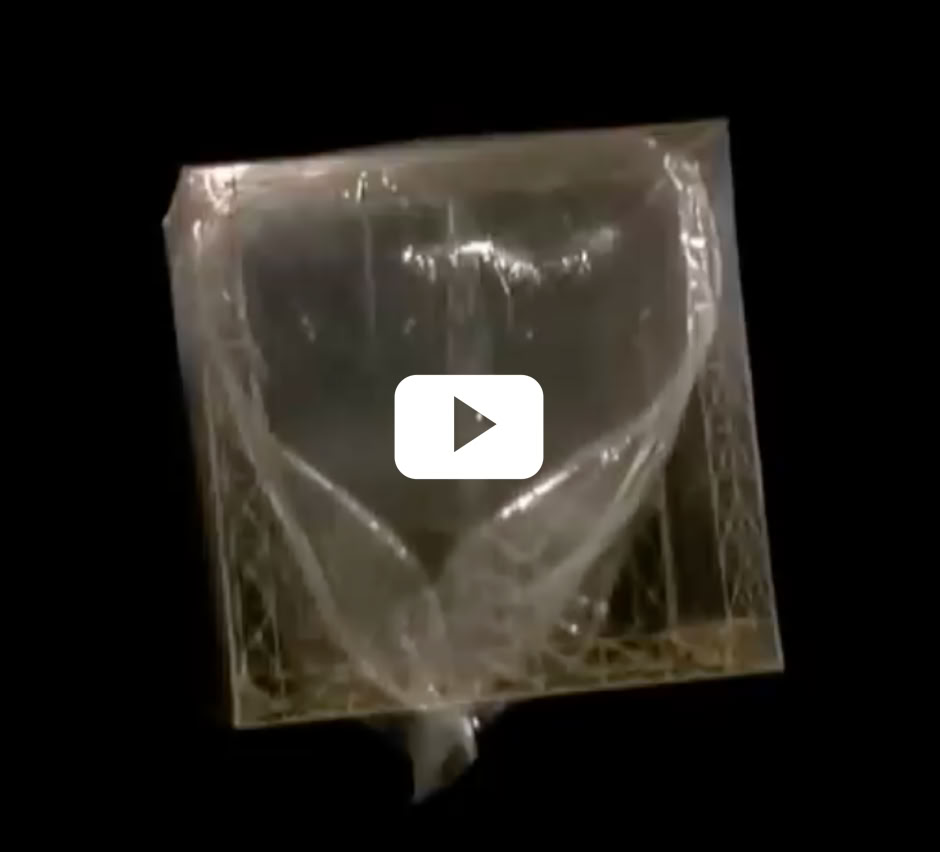 Vidéo Lire la vidéo
